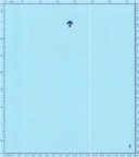 White vertical line(s) or band(s)