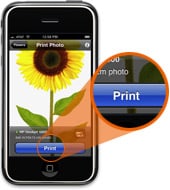 4. Select the "Print" option in the lower portion of the screen