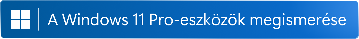 Get to know Windows 11 pro badge.