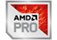 AMD Pro badge