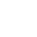 Icon of two small diamonds to symbolize intelligence