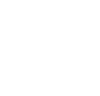 Speedometer icon