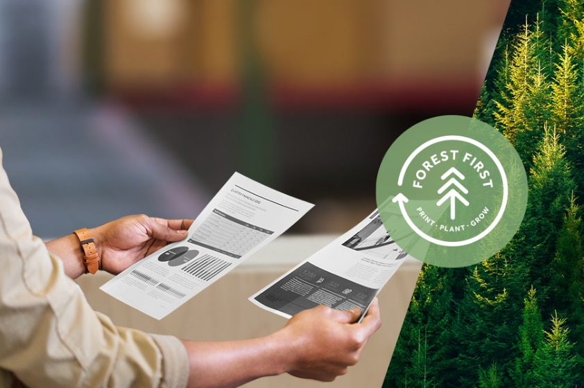 Print uden skovrydning