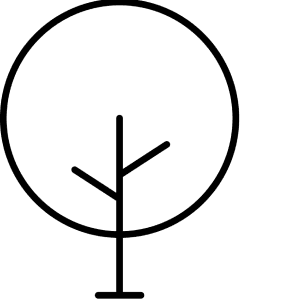 Logo carta proveniente da risorse gestite in modo responsabile